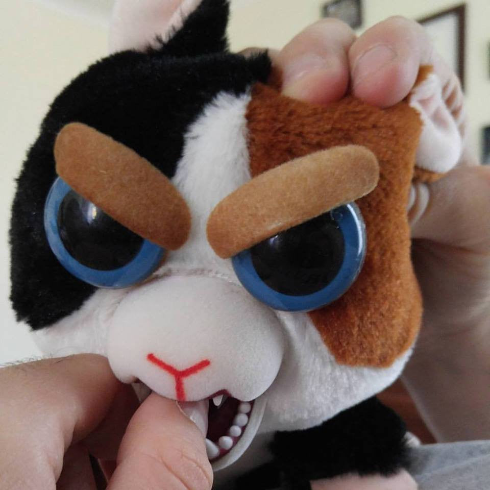 Welcome to the New and Improved Chachi Toys!