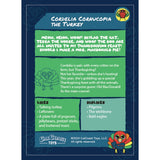 Feisty Pets® Cordelia Cornucopia™ the Turkey