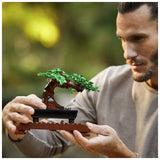 10281 LEGO® Icons Expert Bonsai Tree