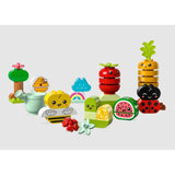 10984 LEGO® DUPLO® My First Organic Garden