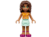 41110 LEGO® Friends Birthday Party
