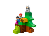 10582 LEGO® DUPLO® Forest: Animals