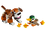 Park Animals