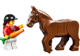 Pony Farm