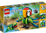Rainforest Animals