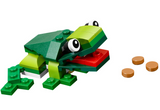 Rainforest Animals